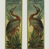 Trade cards depicting tropical birds with long legs.