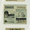 Trade cards depicting flowers and the Long Island Railroad summer schedule for 1880 depicting ships, beaches, Block Island, Greenport, Long Beach, Newport and New Rockaway.