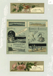 Trade cards depicting flowers and the Long Island Railroad summer schedule for 1880 depicting ships, beaches, Block Island, Greenport, Long Beach, Newport and New Rockaway.