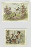 Trade cards depicting birds, flowers, a stone fence with decorative columns, a barbershop, scissors and hair.