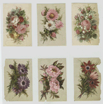 Cards depicting flowers.
