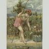 Trade cards depicting fishing, lily pads, and ocean landscapes.