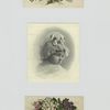 Trade cards depicting holly, flowers and a portrait of a child.