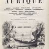 Voyages en Afrique...