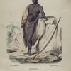 Hottentot