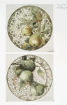 China Painting #2 [depicting pears and apples].