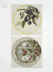 China Painting #2 [depicting plums and cherries].