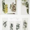 Mayflower, Easter Lilies, Bunch of Daffodils [Easter cards depicting flowers, Christmas cards depicting young girl with umbrella].