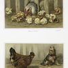 Cluck Cluck, Take Care [prints depicting chickens, baby chicks, and dog].