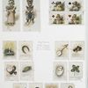 Golden Treasures: Valentines and Christmas cards depicting cats dressed in clothes, women, spades, clubs, hearts, diamonds, clovers, paint palettes, horseshoes, candles, peas, a pocket watch, trumpets, shoes, lanterns, keys, chestnuts and a banjo.