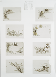 Easter cards depicting flowers, birds and pussy willow.