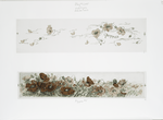 Calendars and Christmas cards entitled 'poppies #5.'