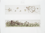 Calendars and Christmas cards entitled 'heart's ease,' depicting flowers, hearts, bows and ribbons.