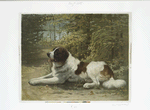 A print entitled 'Kay,' depicting a Saint Bernard laying in the forest