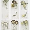 Easter cards with text depicting daffodils and pansies.