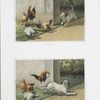 Prints entitled 'the advance' and 'the retreat,' depicting a dog chasing roosters and roosters chasing the dog.