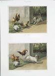 Prints entitled 'the advance' and 'the retreat,' depicting a dog chasing roosters and roosters chasing the dog.