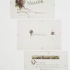 Christmas and Easter cards with text depicting violets.