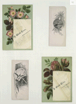 Trade cards depicting flowers a fan, a hummingbird and a sinking ship.