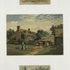 Trade cards depicting women, a man horseback riding, a water trough, the ocean, children, a farm, and cows