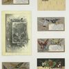 Trade cards depicting butterflies, holly, flowers, plants, strawberries, cows and birch bark.