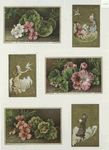 Christmas and trade cards depicting men, women, flowers, geraniums, birds, ice skating, a bird perched on a finger and a man playing a musical instrument.