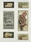 Trade cards depicting a bird, a butterfly, a book, a bee, a fish and flowers.