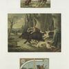 Calendar and trade cards depicting dogs hunting a wild boar, horseback riders lassoing a bull and a horse.