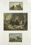 Calendar and trade cards depicting dogs hunting a wild boar, horseback riders lassoing a bull and a horse.