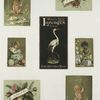 Trade cards depicting flowers, strawberries, a turtle, a stork, thread, lily pads, a boy picking cotton and a girl sewing.