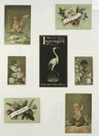 Trade cards depicting flowers, strawberries, a turtle, a stork, thread, lily pads, a boy picking cotton and a girl sewing.