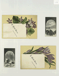 Trade cards depicting flowers, rocks, boats and the ocean.