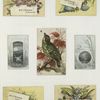 Trade cards depicting a bird, eggs, nests, insects, flowers, frogs, the moon and a scenic view.