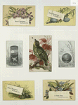 Trade cards depicting a bird, eggs, nests, insects, flowers, frogs, the moon and a scenic view.