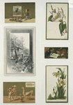 Trade cards depicting a painter, an easel, a fly, flowers, a crow, a rabbit, birds, sailboats, ducks and a violinist.