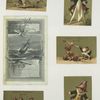 Trade cards depicting a sailboat and miniature children : roller skating, riding a paper horse, being captured by an insect, rocketing of a champagne top, dressed in a strawberry outfit and wearing dresses filled with salt and pepper.