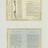Trade cards depicting storks, birds, boats, umbrellas, bodies of water, insects, lily pads and bamboo.