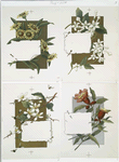 Bermuda Calendar for 1894 [depicting flowers].