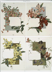 Bermuda Calendar for 1894 [depicting flowers].