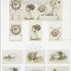 A calendar of 1894 and Christmas cards: 'my lady of spring,' 'whispers of spring,' depicting purple flowers, ribbon, girls, wreaths and spring landscapes