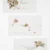Roses [Christmas cards with text by Herrick and Mary Conroy].