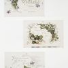 To violets [cards with text and depictions of flowers].