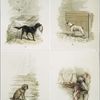 A Calendar depicting dogs : hunting birds, tied to a post, sitting  by feeding dish and sitting in a chair at a dressing table.