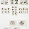 Calendars and Christmas cards depicting flowers, vases and ribbons.