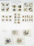 Calendars and Christmas cards depicting flowers, vases and ribbons.