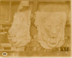 Plaster models of a lion's head