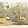 Dogs chasing pheasants