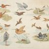 Birds of fowling.