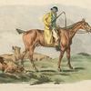 Mounted hunter with three hounds running behind.