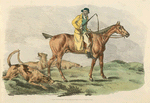 Mounted hunter with three hounds running behind.